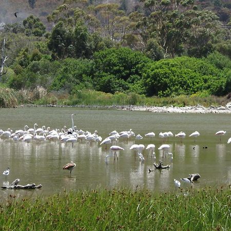 דירות הרמנוס Albatross מראה חיצוני תמונה